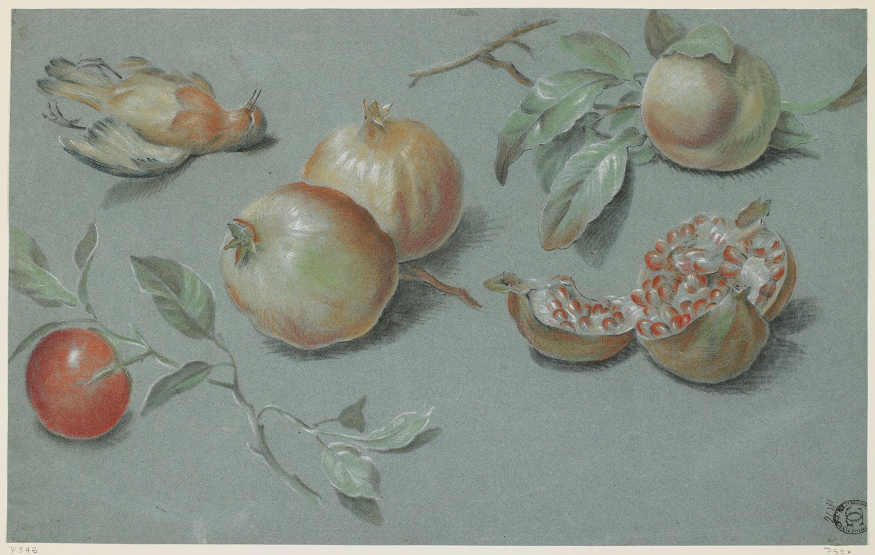 Pomegranates and Dead Bird by Французская школа — digital art print download