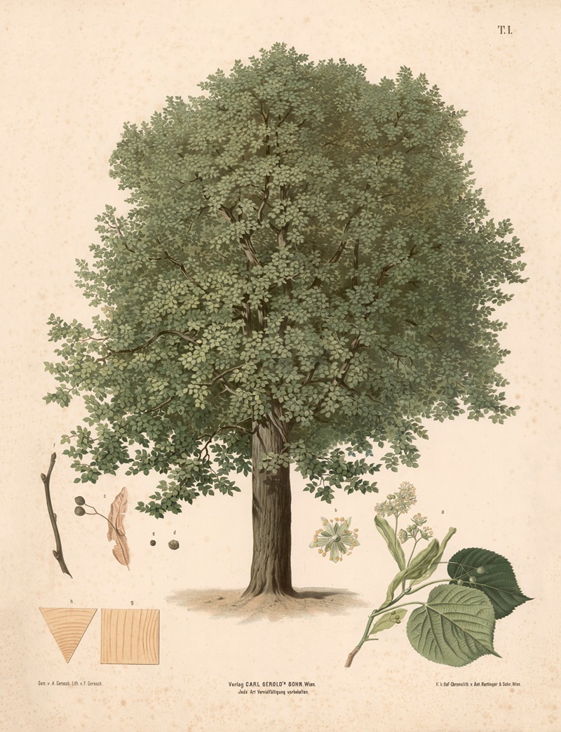 Sommerlind by Август Гераш, 1889 — digital art print download
