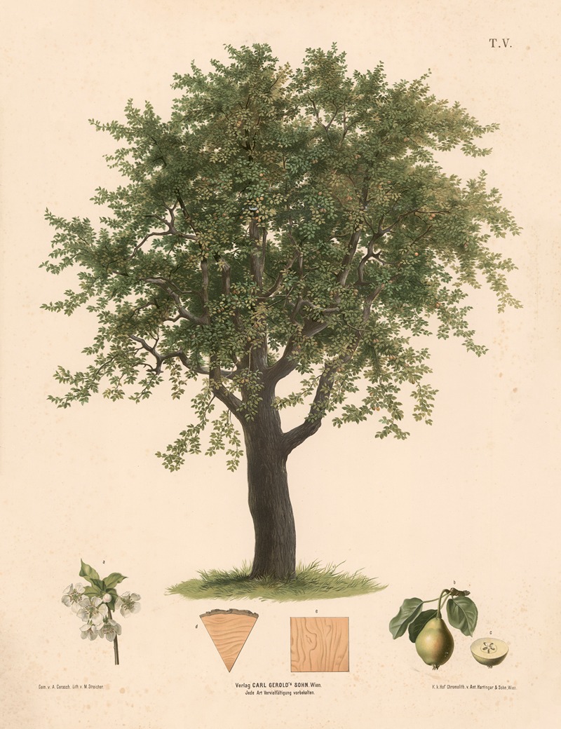 Pæretræ by Август Гераш, 1889 — digital art print download