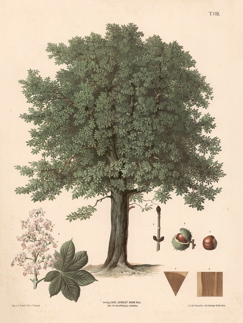 Hestekastanje by Август Гераш, 1889 — digital art print download