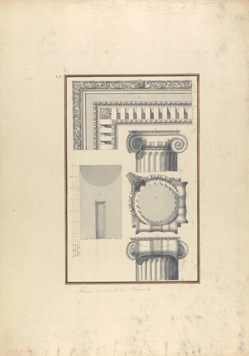 Frieze and Capitals by Giovanni Battista Borra — digital art print download