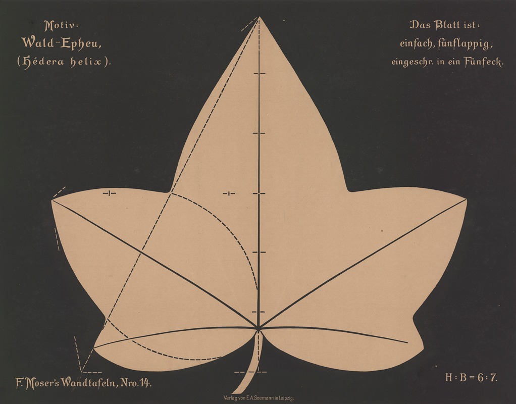 Wald-Epheu (Hédera helix) by Ferdinand Moser, 1892 — digital art print download
