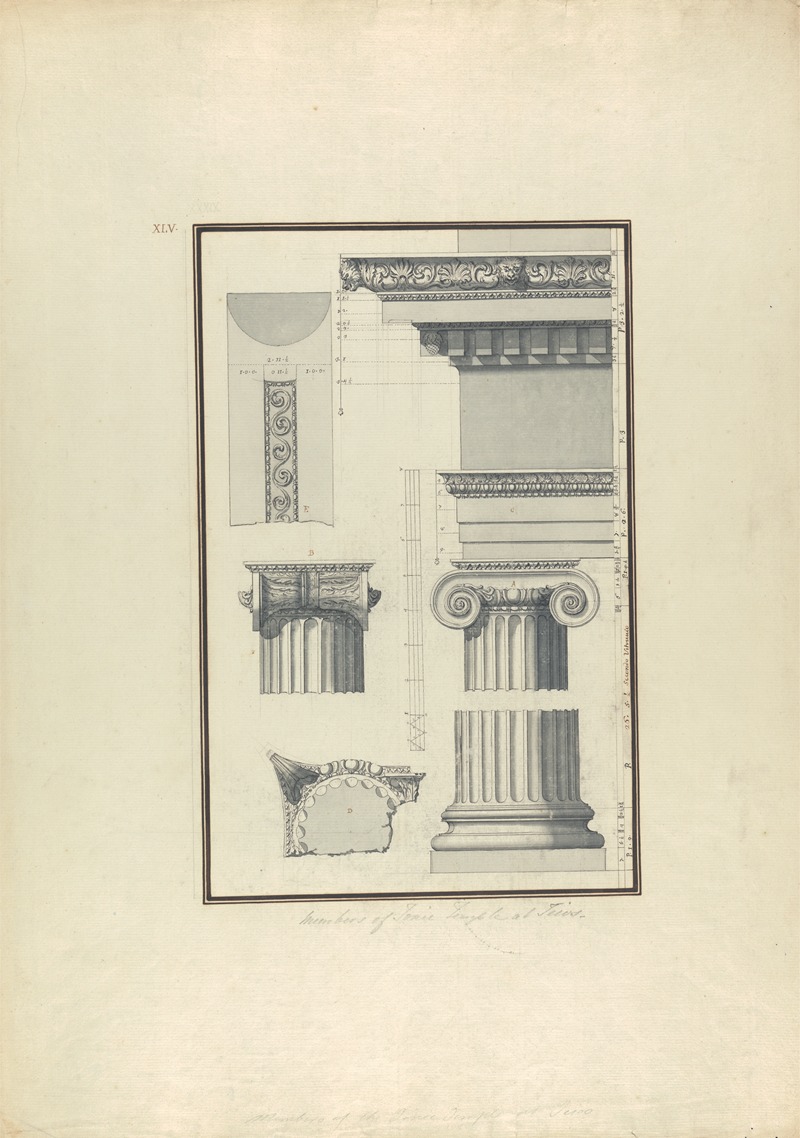 Members of an Ionic Temple at Teos — Giovanni Battista Borra