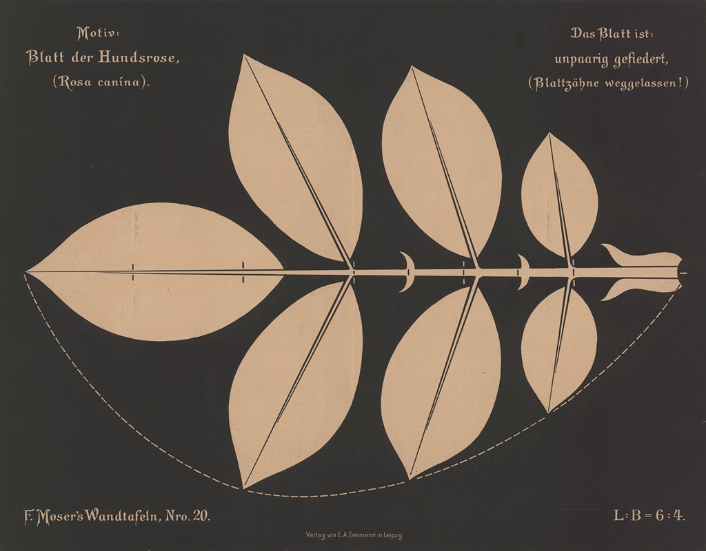Blatt der Hundsrose (Rosa canina) — Ferdinand Moser