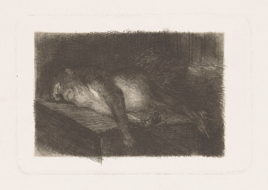 Lying, sleeping monkey by Генрих М. Краббе, 1878 - 1887 — digital art print download