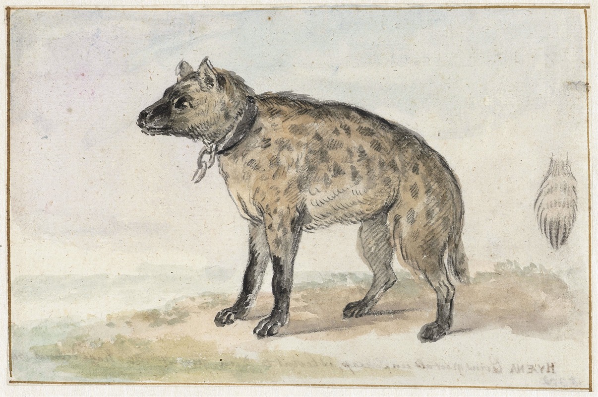 Gevlekte hyena by Аерт Шоуман, 1767 - 1769 — digital art print download