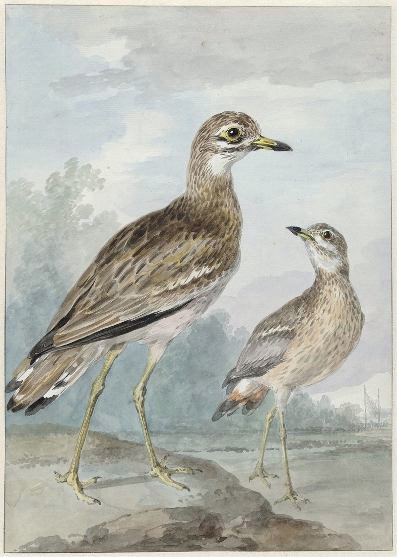 Twee grielen by Аерт Шоуман, 1777 — digital art print download