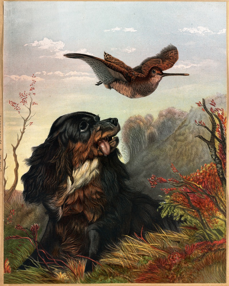 Cocker and Woodcock by Артур Фицвильям Тейт — digital art print download
