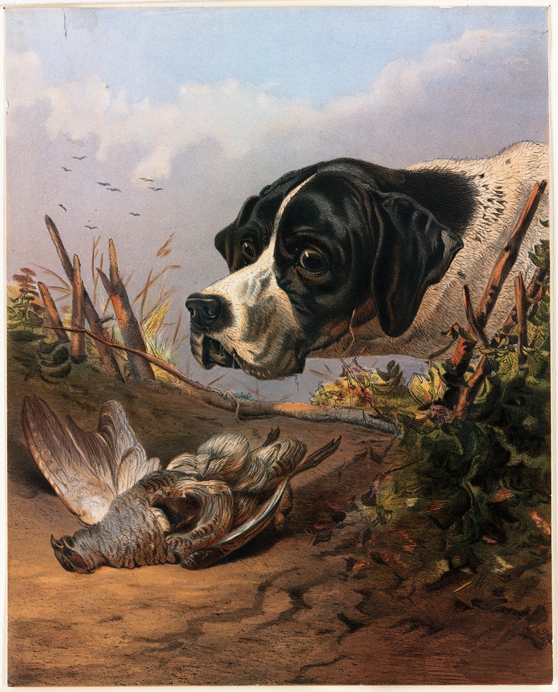 Dog's Head by Артур Фицвильям Тейт — digital art print download