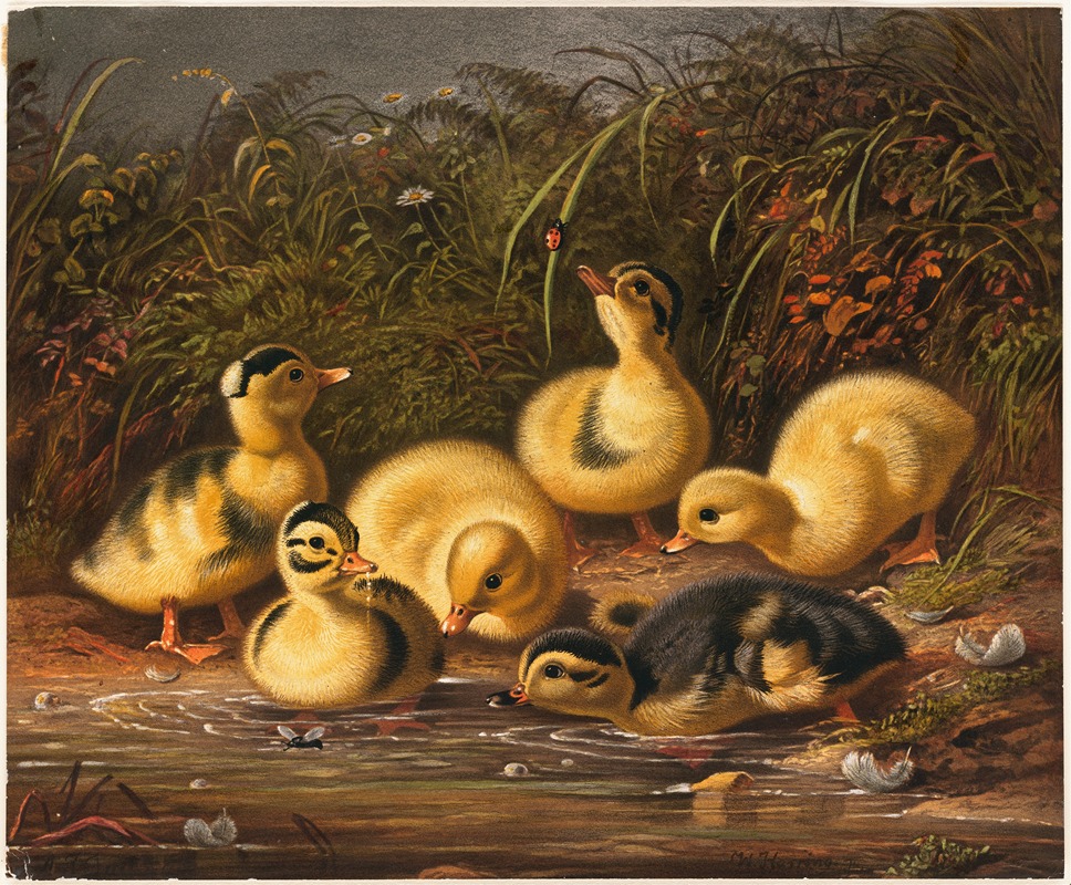 Group of Ducklings by Артур Фицвильям Тейт — digital art print download