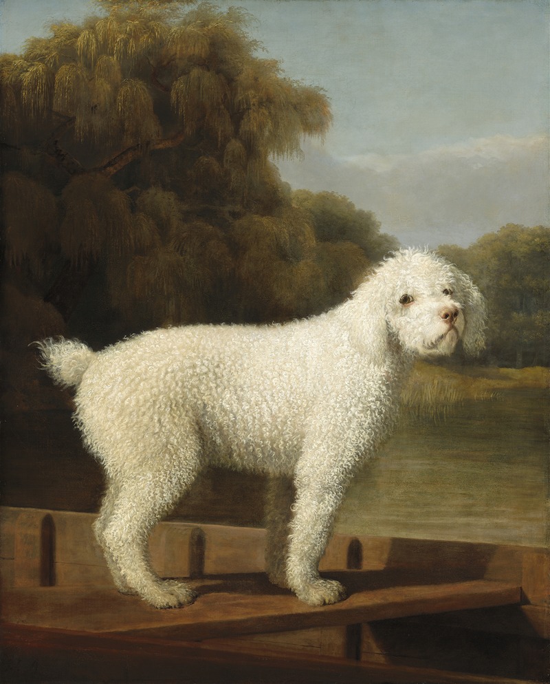 White Poodle in a Punt by Джордж Стуббс, c. 1780 — digital art print download
