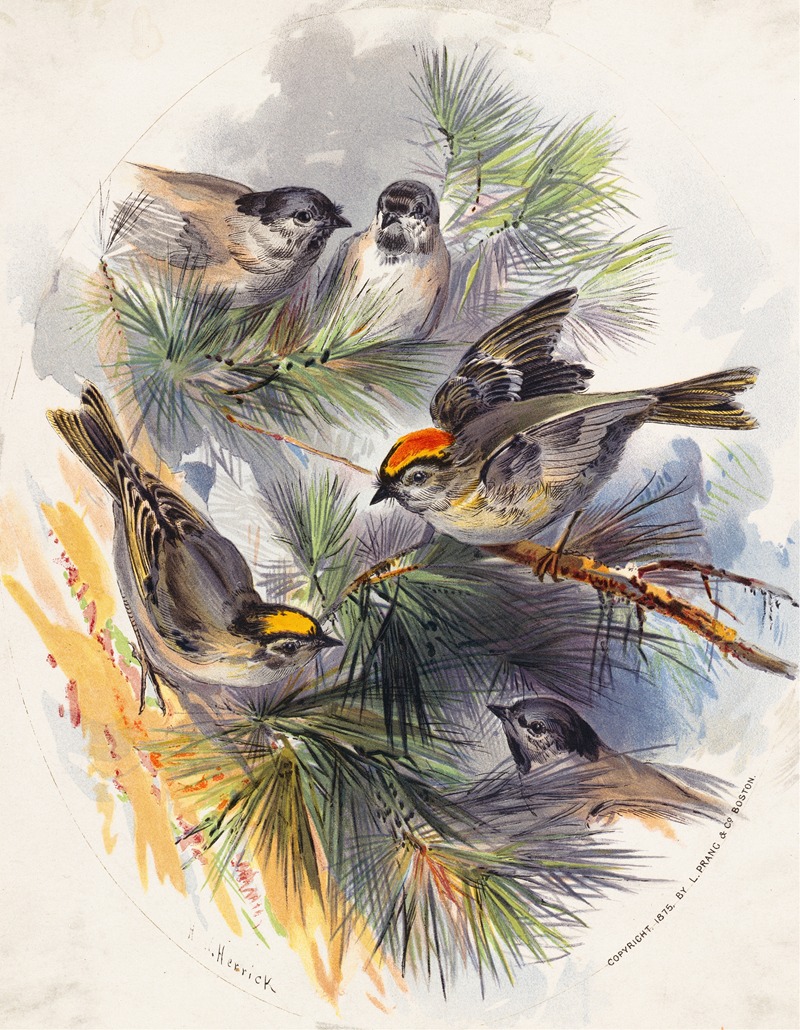 Birds by Генри Уокер Херрик, 1875 — digital art print download