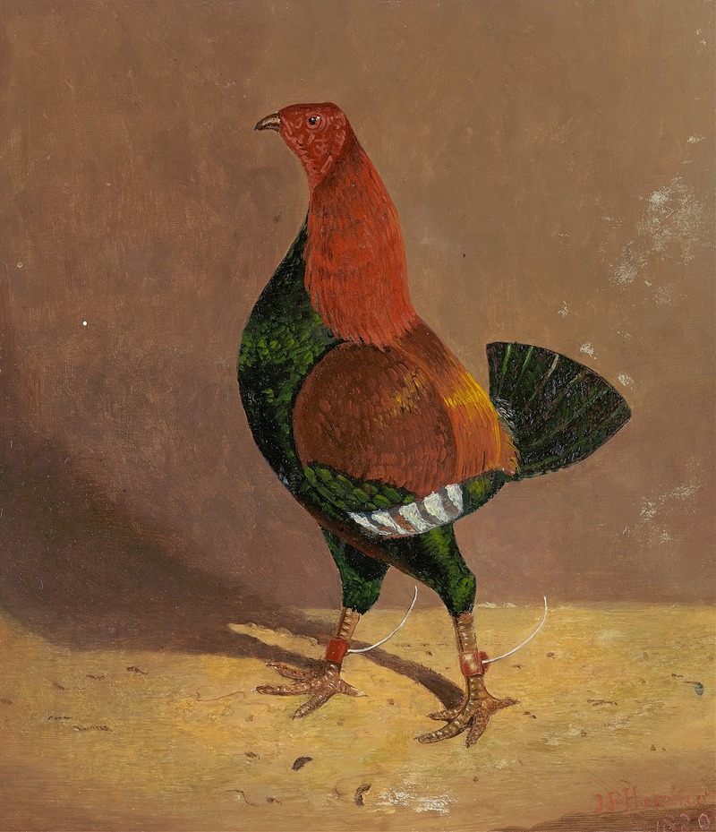 Fighting Cocks,a Dark-Breasted Fighting Cock, Facing Left by Джон Фредерик Херринг-старший, 1829 — digital art print download