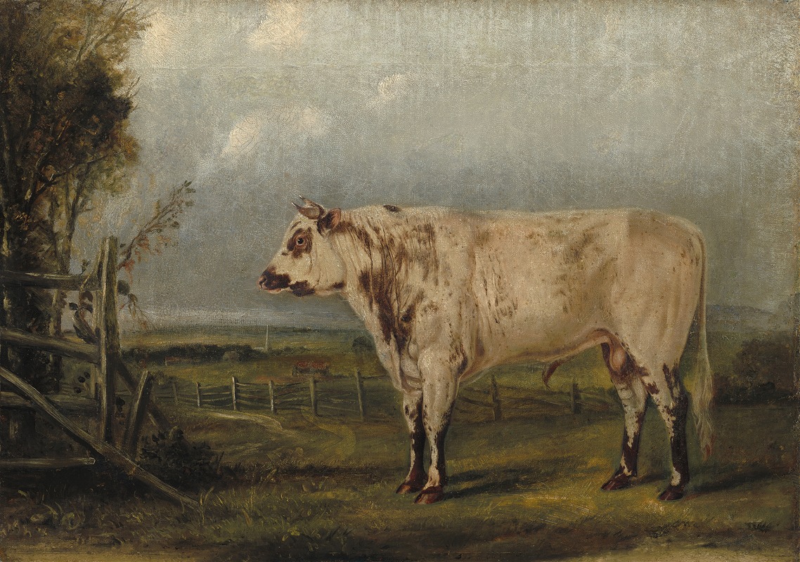A Young Bull by John Woodhouse Audubon, c. 1849 — digital art print download