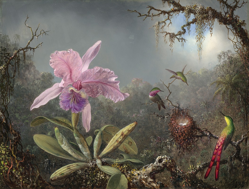 Cattleya Orchid and Three Hummingbirds — Martin Johnson Heade