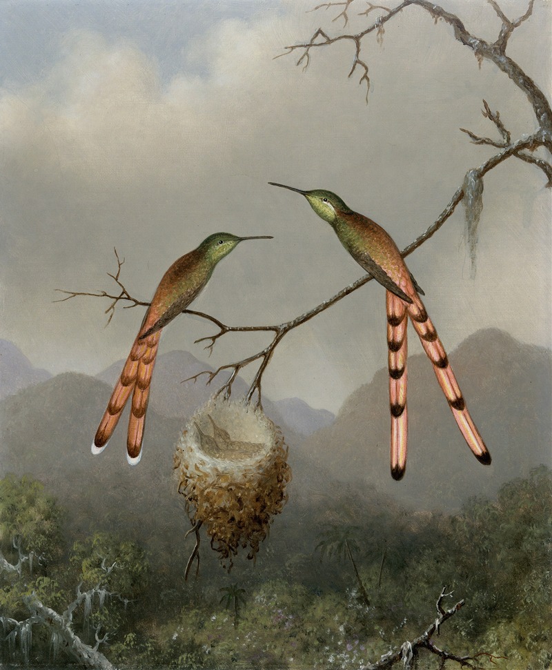 Two Hummingbirds with Their Young by Мартин Джонсон Хид — digital art print download