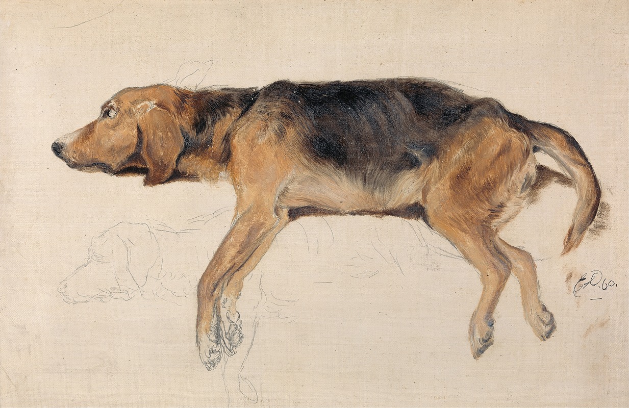 Study of a Dog Lying Down by Сэр Эдвин Генри Ландсир, 1860 — digital art print download