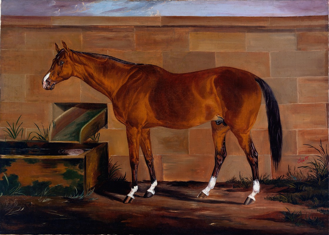 Portrait of Lexington — Thomas J. Scott