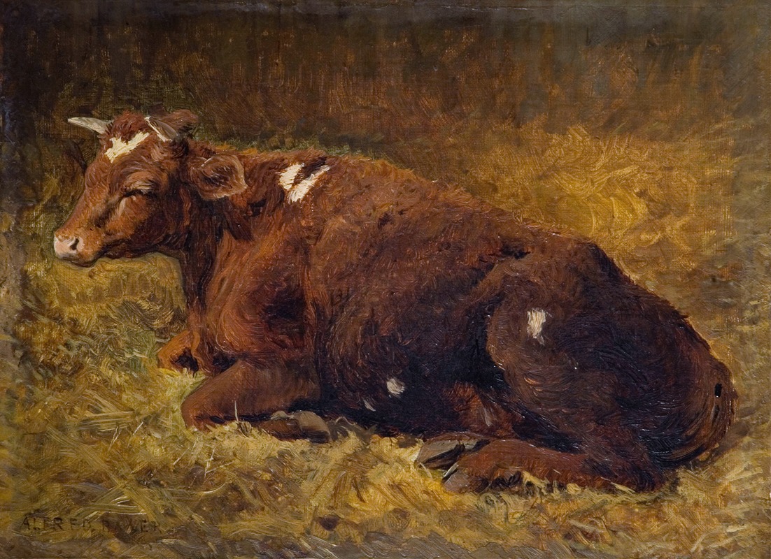 A Cow Lying On The Ground by Alfred Baker, 1865-1872 — digital art print download