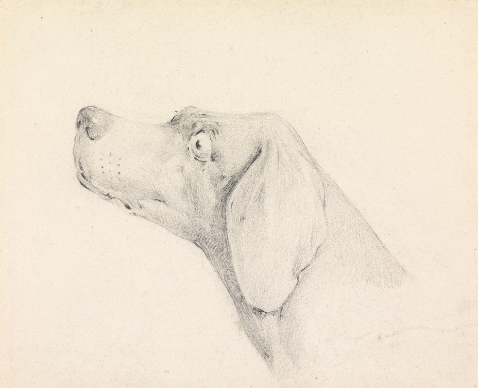 Head of a Pointer, in Profile Left by Генри Томас Алкен — digital art print download