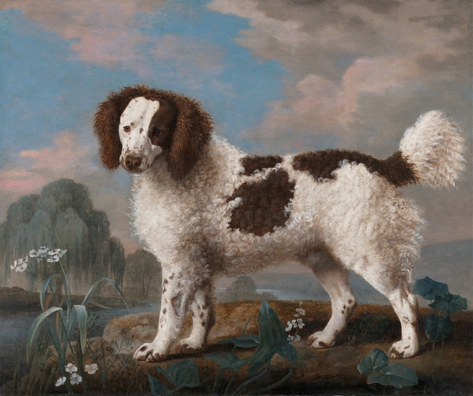 Brown and White Norfolk or Water Spaniel — George Stubbs