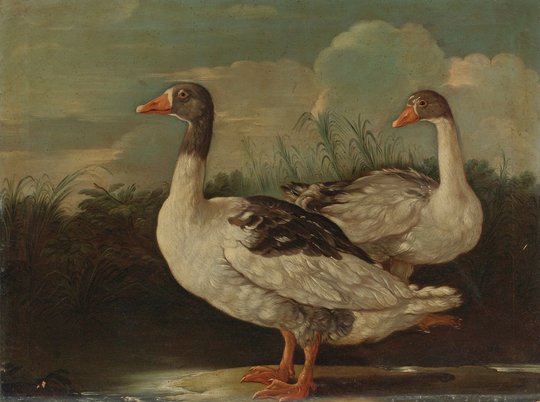 Two Proud Geese by Итальянская школа — digital art print download
