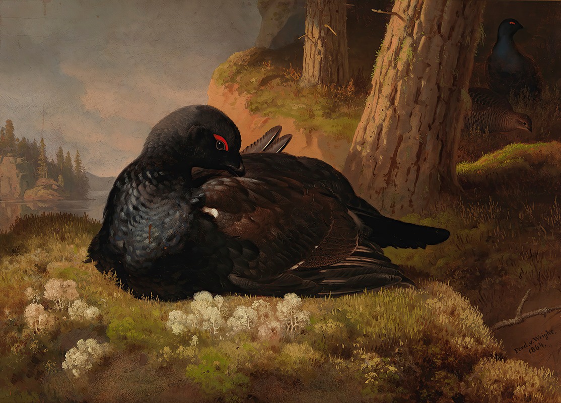 Black Grouse by Фердинанд фон Райт, 1864 — digital art print download