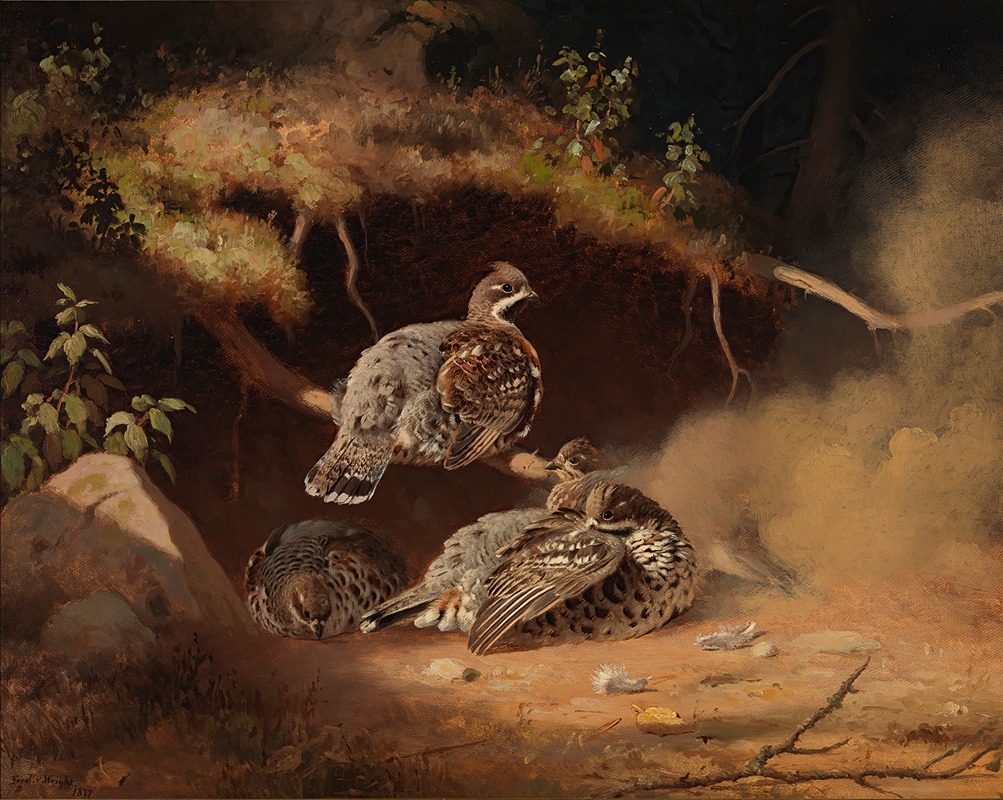 Hazel Grouse Wallowing In Sand by Фердинанд фон Райт, 1877 — digital art print download