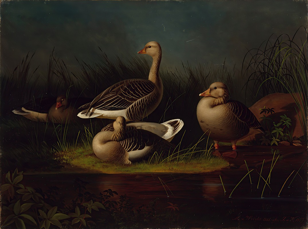 Greylag Geese, Copy After Ferdinand Von Wright by Magnus Von Wright, 1866 — digital art print download
