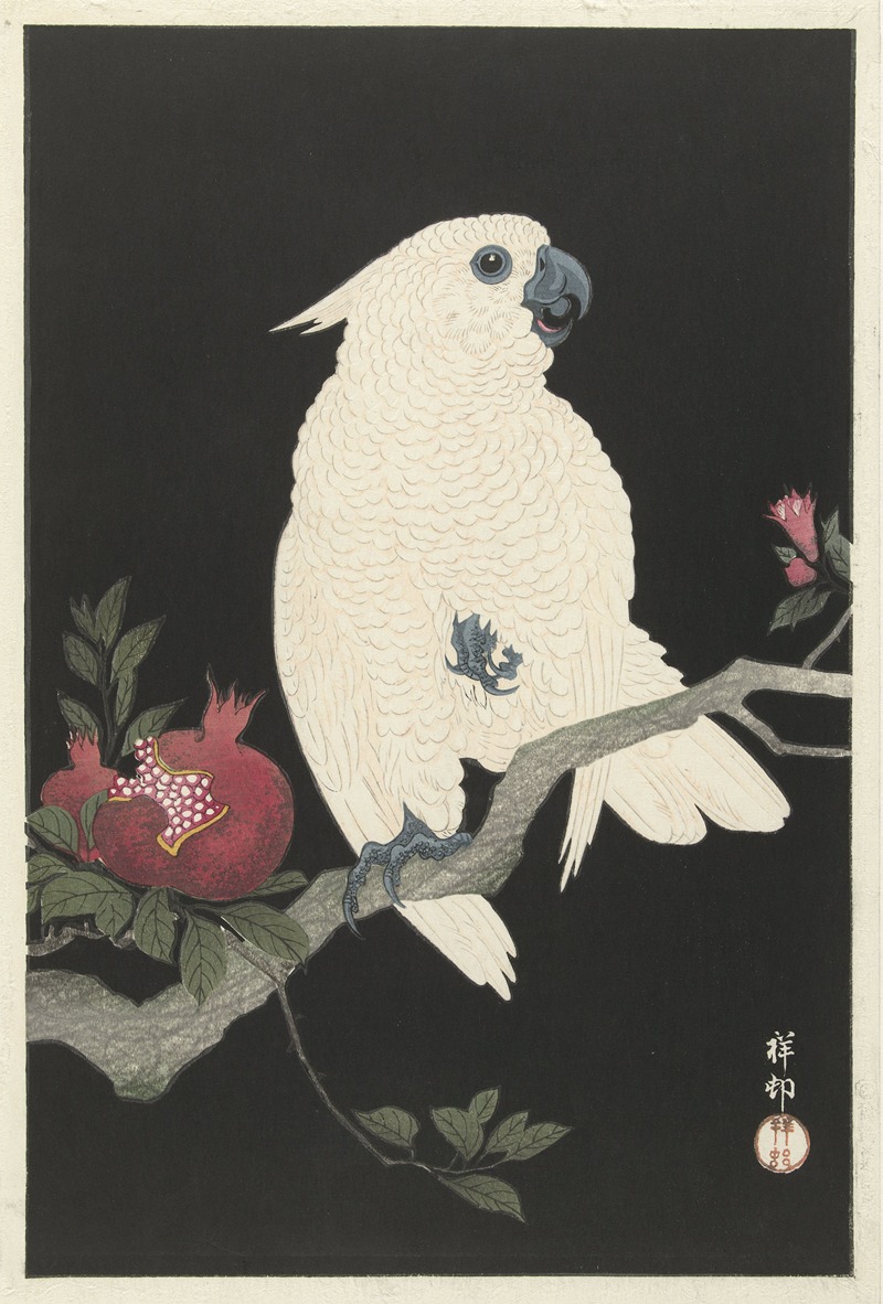 Cockatoo and pomegranate by Охара Косон, 1925 - 1936 — digital art print download