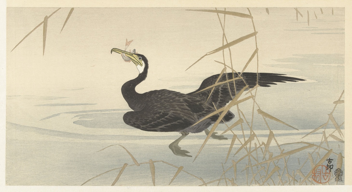 Cormorant with fish by Охара Косон, 1900 - 1930 — digital art print download