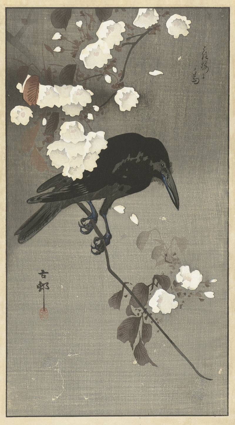 Crow with cherry blossom by Охара Косон, 1900 - 1930 — digital art print download