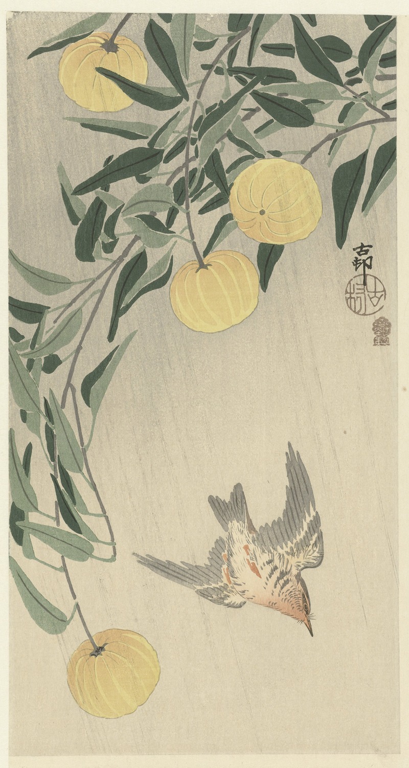 Cuckoo in the rain by Охара Косон, 1900 - 1910 — digital art print download