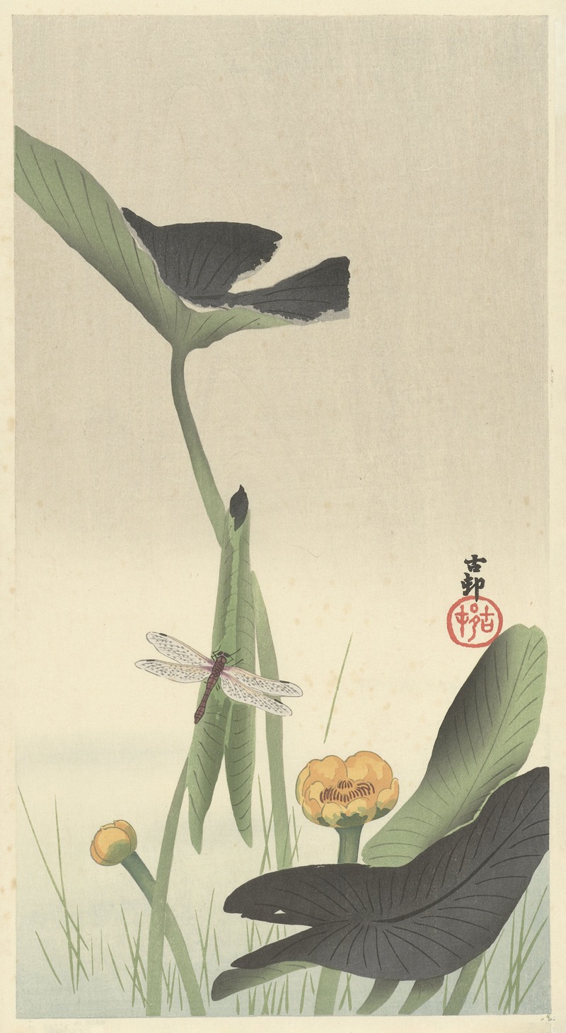 Dragonfly and lotus by Охара Косон, 1900 - 1930 — digital art print download