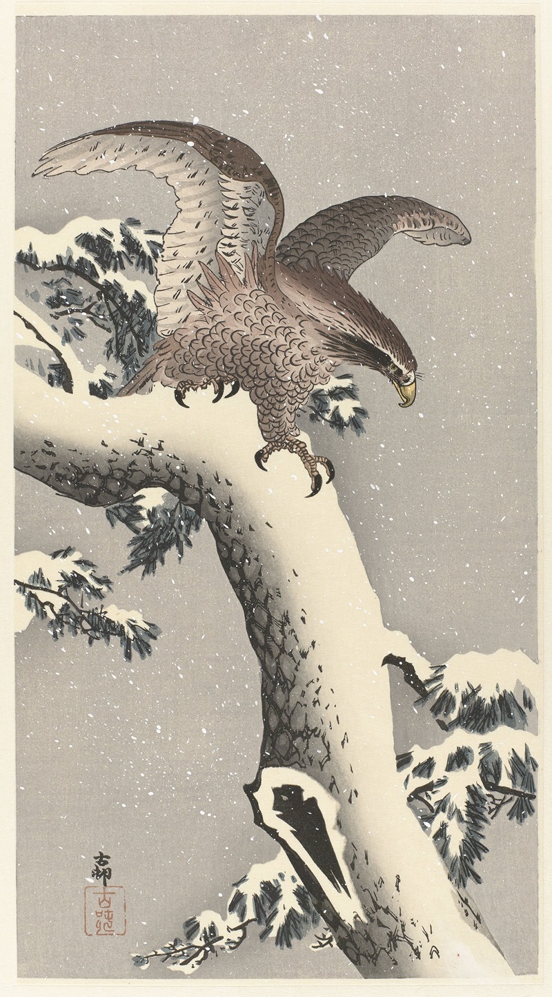 Eagle on snowy pine tree by Охара Косон, 1887 - 1930 — digital art print download