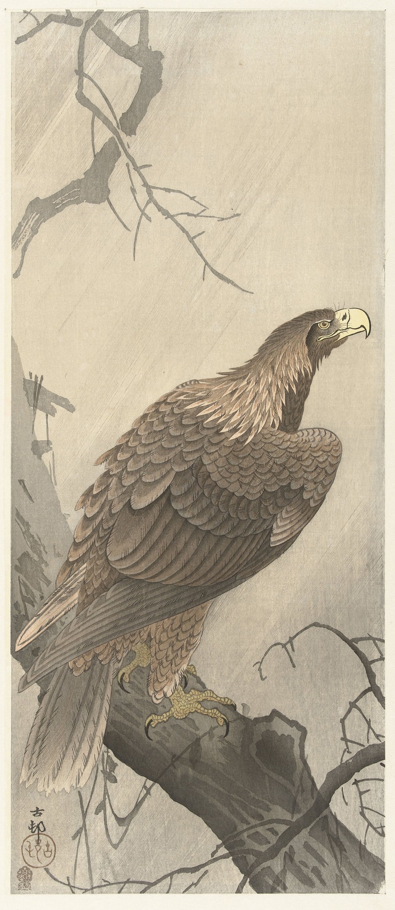 Eagle on tree branch by Охара Косон, 1900 - 1910 — digital art print download
