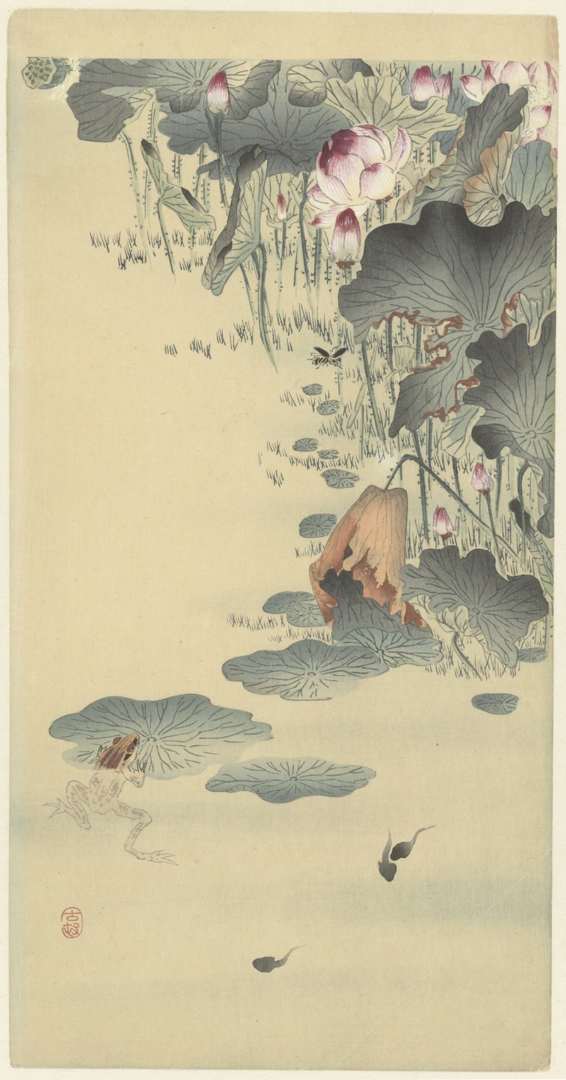 Frog and tadpoles by Охара Косон, 1900 - 1930 — digital art print download