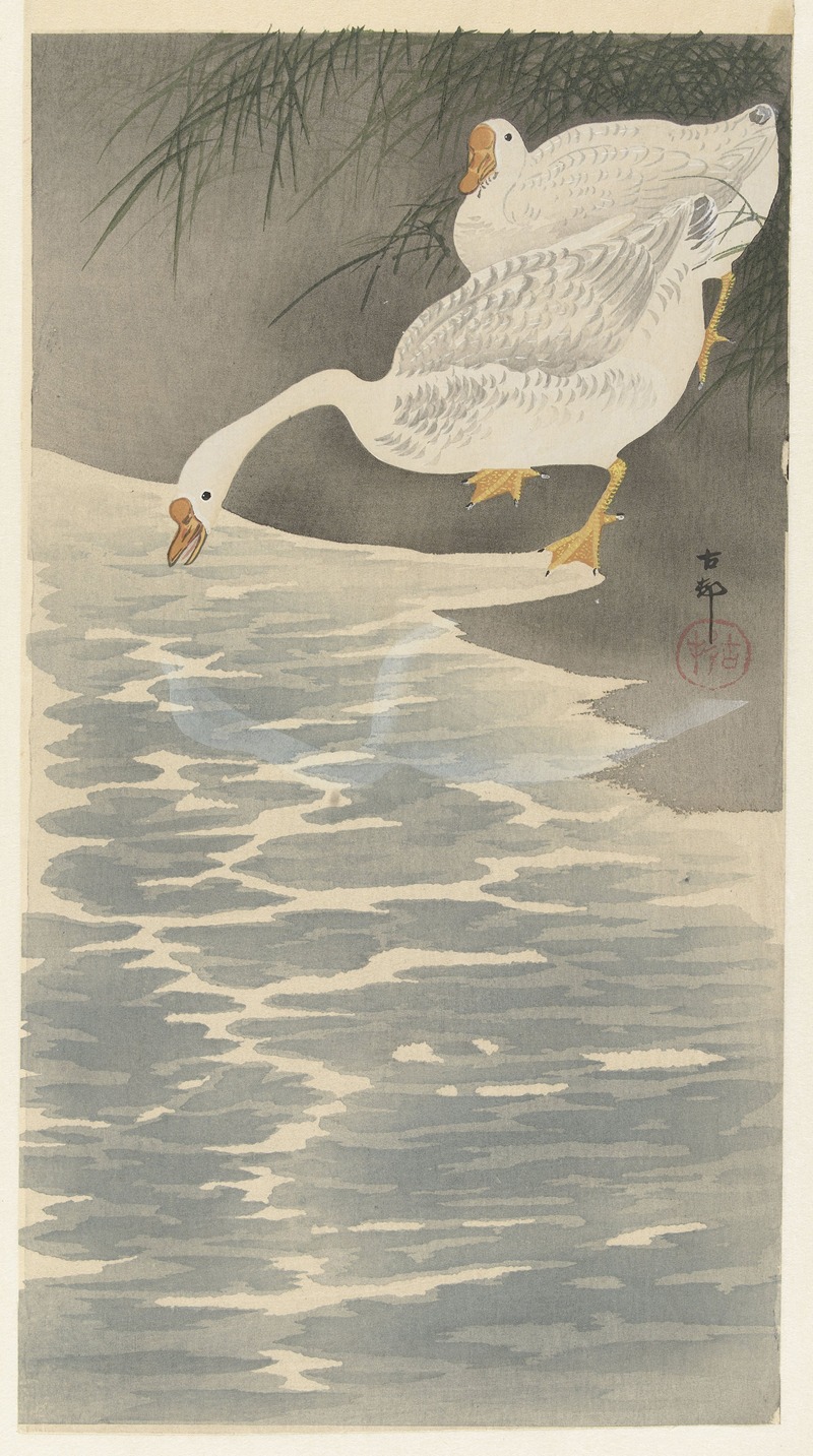 Geese on the bank by Охара Косон, 1900 - 1930 — digital art print download