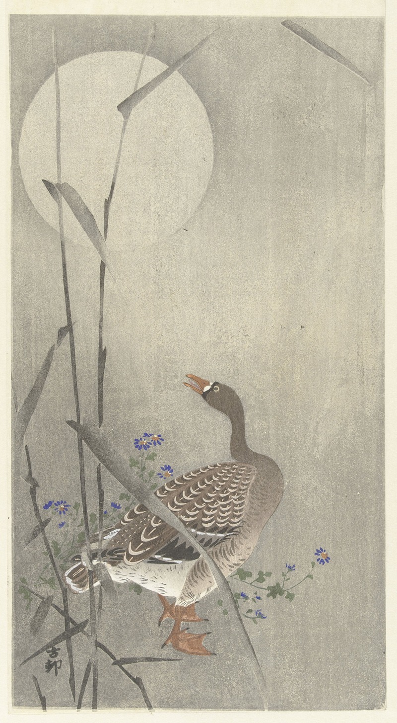 Goose at full moon by Ohara Koson, 1900 - 1936 — digital art print download
