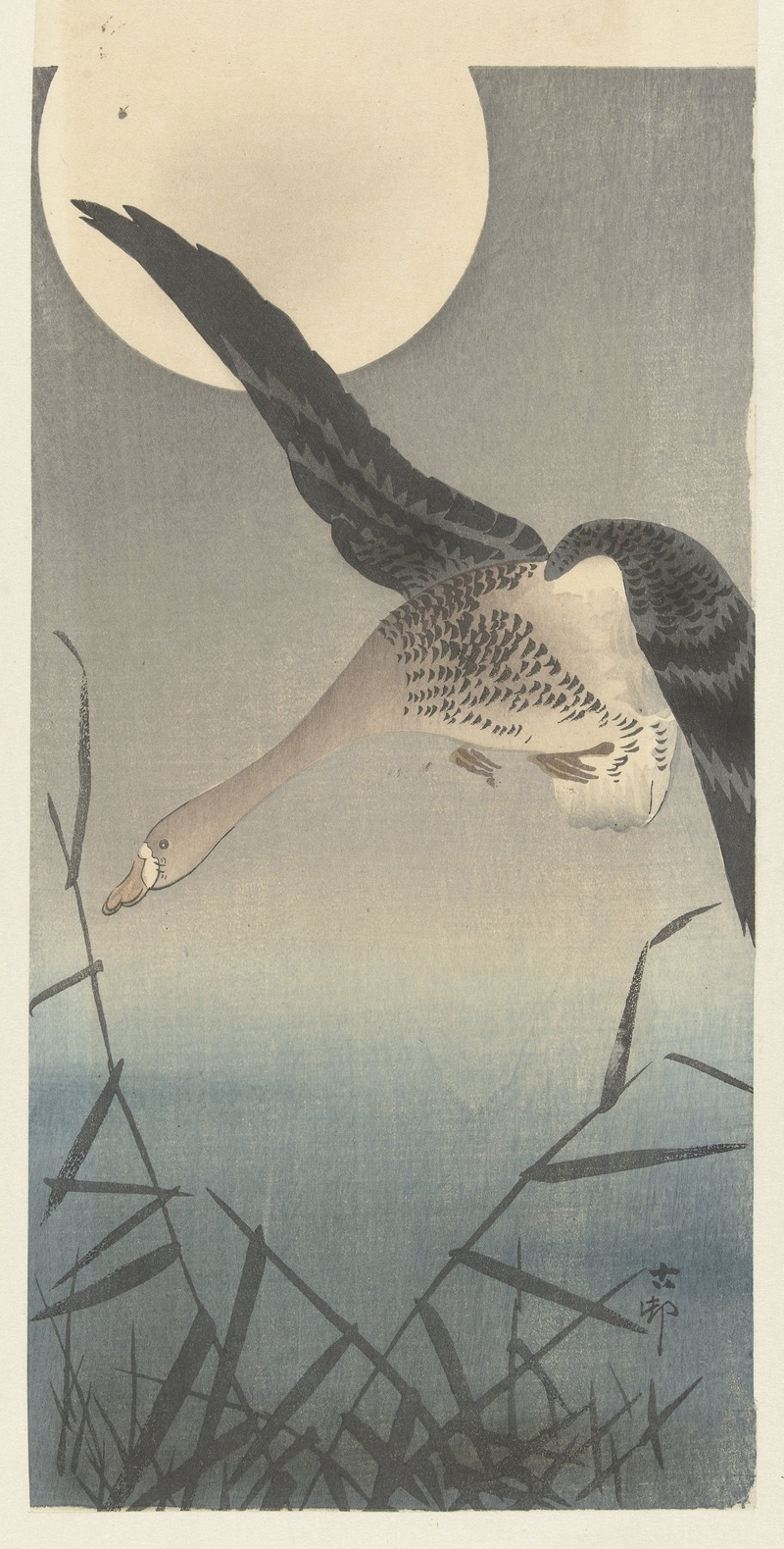 Goose by Охара Косон, 1900 - 1930 — digital art print download