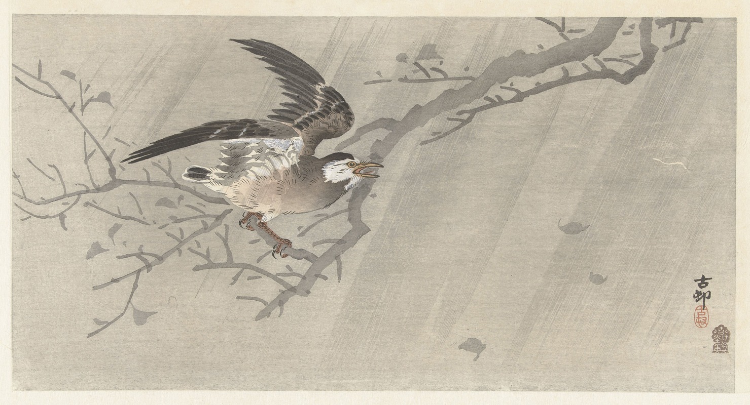 Gray starling in storm by Ohara Koson, 1900 - 1910 — digital art print download