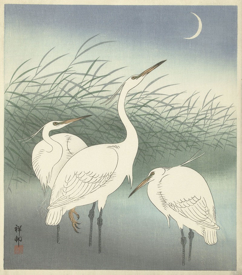 Herons in shallow water by Охара Косон, 1934 — digital art print download