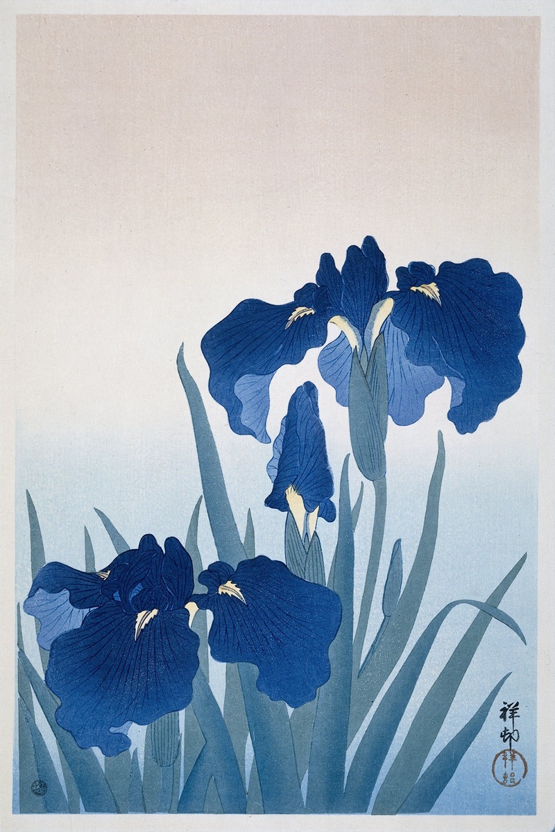 Irises by Охара Косон, 1925 - 1936 — digital art print download