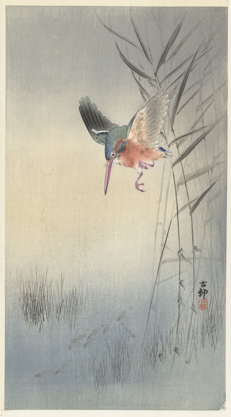 Kingfisher hunting for fish by Охара Косон, 1900 - 1930 — digital art print download