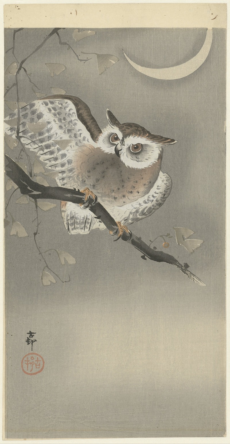 Long-eared owl in ginkgo by Охара Косон, 1900 - 1930 — digital art print download