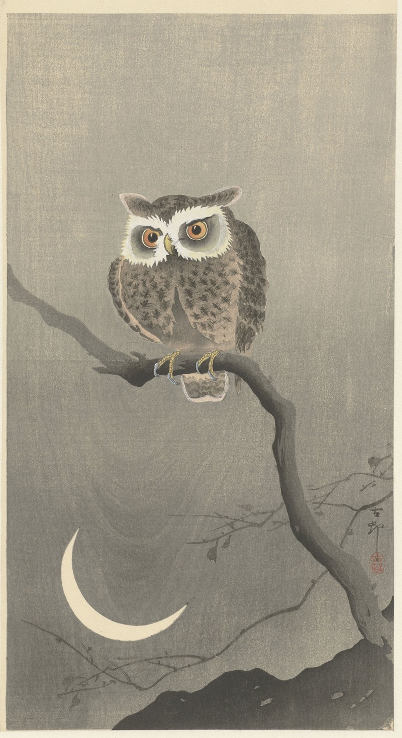 Long-eared owl on bare tree branch by Охара Косон, 1900 - 1930 — digital art print download