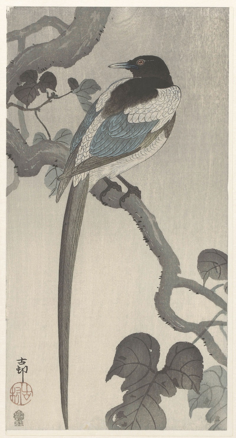 Magpie on tree branch by Ohara Koson, 1900 - 1910 — digital art print download