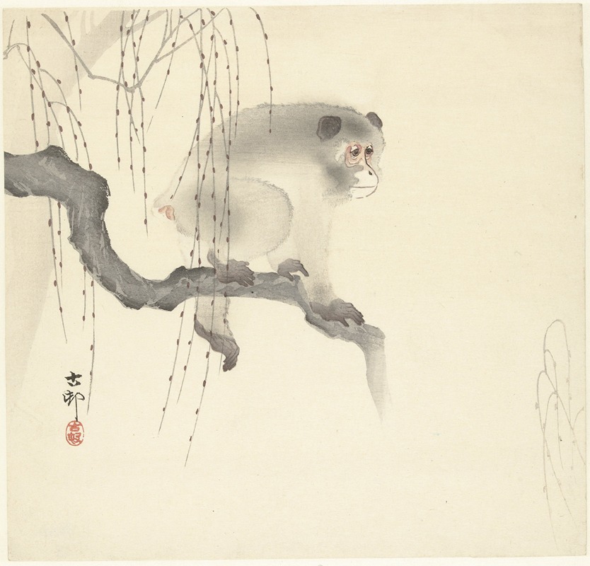 Monkey on tree branch by Охара Косон, 1900 - 1930 — digital art print download