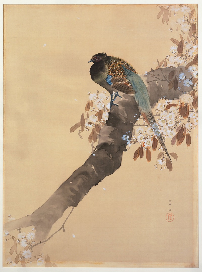 Pheasant on cherry blossom branch by Охара Косон, 1887 - 1945 — digital art print download