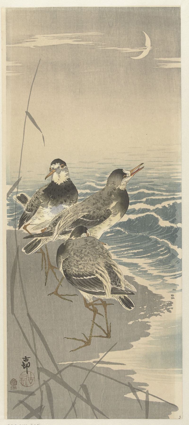Sandpipers at sickle moon by Охара Косон, 1910 - 1930 — digital art print download